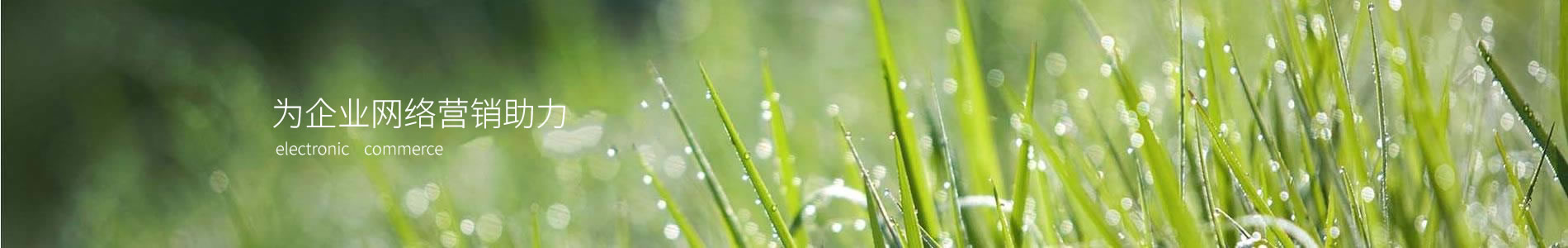 ӱعеƼ޹˾